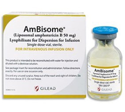  ( B ) / AMBISOME (Amphotericin B Liposomal) 
