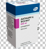    () / DALACIN C PHOSPHATE (Clindamycin)