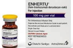  (- ) / ENHERTU (fam-trastuzumab derukstekan)