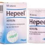 ХЕПЕЛЬ Н таблетки / HEPEEL N