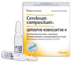 ЦЕРЕБРУМ КОМПОЗИТУМ Н / CEREBRUM COMPOSITUM N