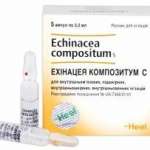 ЭХИНАЦЕЯ КОМПОЗИТУМ С / ECHINACEA COMPOSITUM S