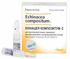 ЭХИНАЦЕЯ КОМПОЗИТУМ С / ECHINACEA COMPOSITUM S