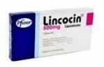 ЛИНКОЦИН / LINCOCIN