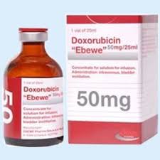ДОКСОРУБИЦИН-ЭБЕВЕ / DOXORUBICIN-EBEWE