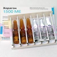 ХОРАГОН (Хорионический гонадотропин) / CHORAGON