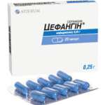 ЦЕФАНГИН / TSEFANGIN