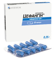 ЦЕФАНГИН / TSEFANGIN