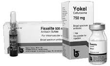 ФЛЕКСЕЛИТ (амикацин) / FLEXELITE (amikacin)