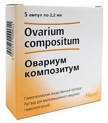 ОВАРИУМ КОМПОЗИТУМ / OVARIUM COMPOSITUM