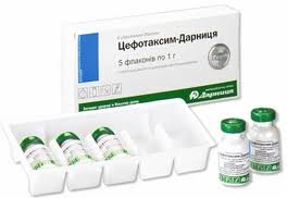 ЦЕФОТАКСИМ-ДАРНИЦА / TSEFOTAKSIM-DARNITSA