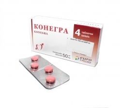 КОНЕГРА / KONEGRA