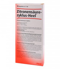 Катализаторы цикла лимонной кислоты / Catalysts of the citric acid cycle