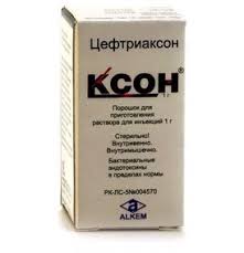 КСОН ИНЪЕКЦИИ 1 г / KSON INEKTSII 1 g