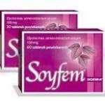 СОЙФЕМ / SOYFEM