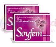 СОЙФЕМ / SOYFEM