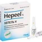 ХЕПЕЛЬ Н ампулы / HEPEL N