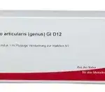 Гартилаго артикуларис генус Gl D 12 / Gartilago articularis genus Gl D 12