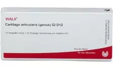 Гартилаго артикуларис генус Gl D 12 / Gartilago articularis genus Gl D 12