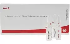 Гартилаго артикуларис генус Gl D 5 / Gartilago articularis genus Gl D 5