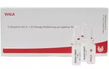 Гартилаго артикуларис генус Gl D 30 / Gartilago articularis genus Gl D 30