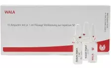 Гартилаго артикуларис генус Gl D 6 / Gartilago articularis genus Gl D 6