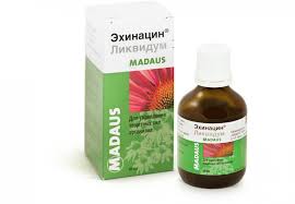 ЭХИНАЦИН / EHINATSIN