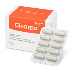 СИНАТРА / SINATRA