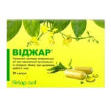 ВИДЖАР / VIDZHAR