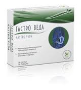 ГАСТРО ВЕДА / GASTRO VEDA