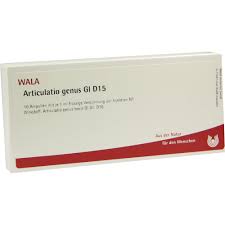 АРТИКУЛАТИО ГЕНУС коленный сустав Гл Д30 / ARTICULATIO GENUS Gl D30