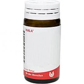 АРТИКУЛАТИО ТАЛОКРУРА голеностоп / ARTICULATIO TALOCRURA