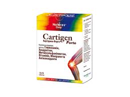 КАРТИДЖЕН ФОРТЕ / KARTIDZHEN FORTE