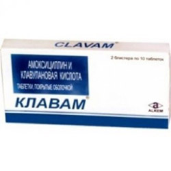 КЛАВАМ / KLAVAM