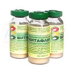 ВИТАФЛОР пробиотик / VITAFLOR probiotic