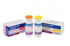 ЛОРАКСИМ / LORAKSIM