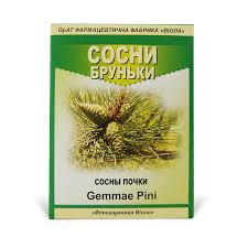 СОСНЫ ПОЧКИ / PINI GEMMAE