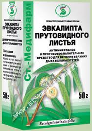 ЭВКАЛИПТА прутьевидного листья / EUCALYPTI