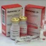 АМПИСИД (сультамициллин) / AMPISID (sultamicillin)