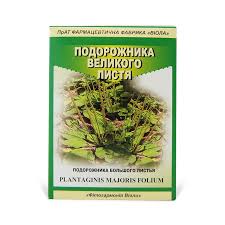 ПОДОРОЖНИКА БОЛЬШОГО ЛИСТЬЯ / PLANTAGINIS MAJORIS FOLIA