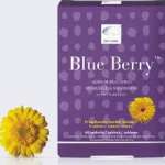 БЛЮ БЕРРИ / BLUEBERRY