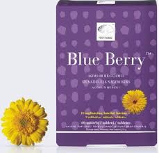 БЛЮ БЕРРИ / BLUEBERRY