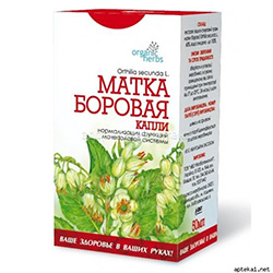 ФИТОЧАЙ БОРОВАЯ МАТКА