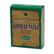 БОРОВАЯ МАТКА / BOROVAYA MATKA