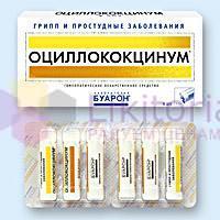 ОЦИЛЛОКОКЦИНУМ, ОЦИЛОКОКЦИНУМ / OSCILLOCOCCINUM