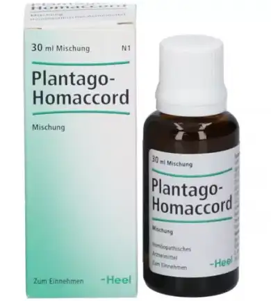 ПЛАНТАГО-Гомаккорд капли / PLANTAGO-Homaccord drops