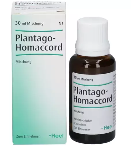 ПЛАНТАГО-Гомаккорд капли / PLANTAGO-Homaccord drops