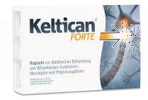 КЕЛТИКАН Форте / KELTICAN Forte