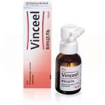 ВИНЦЕЛЬ / VINCEEL