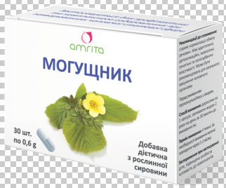 МОГУЩНИК / MOGUHCHIC